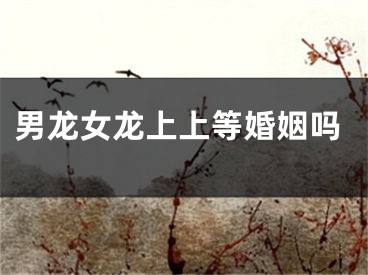 男龙女龙上上等婚姻吗