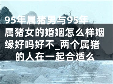 95年属猪男与95年属猪女的婚姻怎么样姻缘好吗好不_两个属猪的人在一起合适么