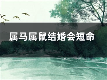 属马属鼠结婚会短命