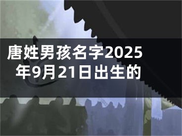 唐姓男孩名字2025年9月21日出生的