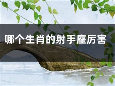 哪个生肖的射手座厉害
