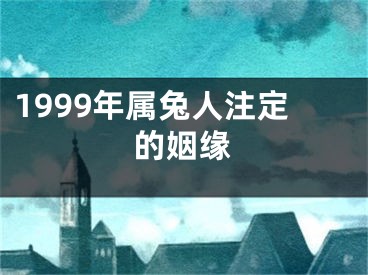 1999年属兔人注定的姻缘