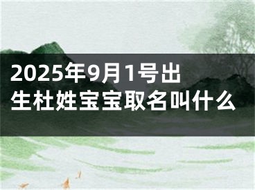2025年9月1号出生杜姓宝宝取名叫什么