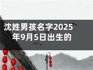 沈姓男孩名字2025年9月5日出生的