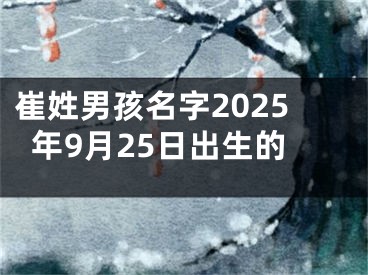 崔姓男孩名字2025年9月25日出生的