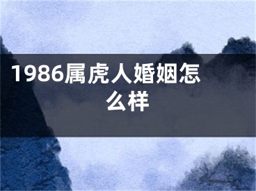 1986属虎人婚姻怎么样