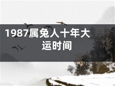 1987属兔人十年大运时间