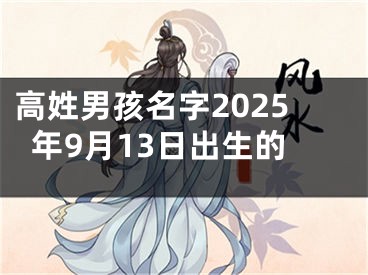 高姓男孩名字2025年9月13日出生的