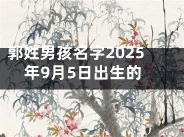郭姓男孩名字2025年9月5日出生的