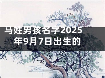 马姓男孩名字2025年9月7日出生的