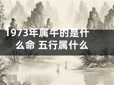 1973年属牛的是什么命 五行属什么