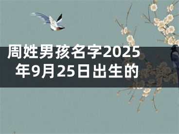 周姓男孩名字2025年9月25日出生的