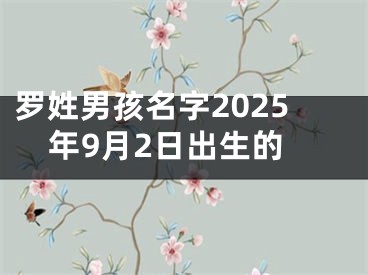 罗姓男孩名字2025年9月2日出生的