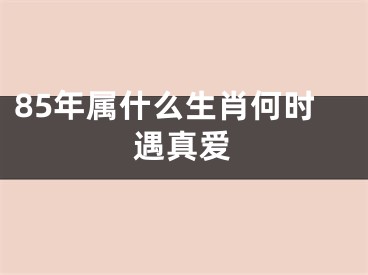 85年属什么生肖何时遇真爱