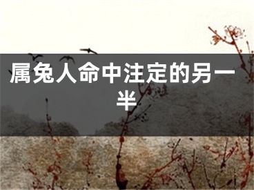 属兔人命中注定的另一半