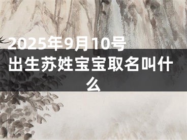 2025年9月10号出生苏姓宝宝取名叫什么