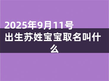 2025年9月11号出生苏姓宝宝取名叫什么