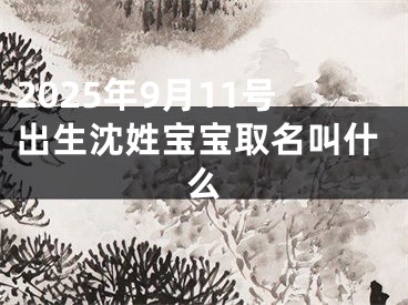 2025年9月11号出生沈姓宝宝取名叫什么