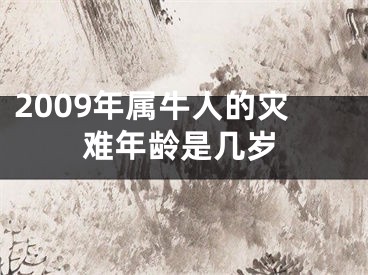 2009年属牛人的灾难年龄是几岁