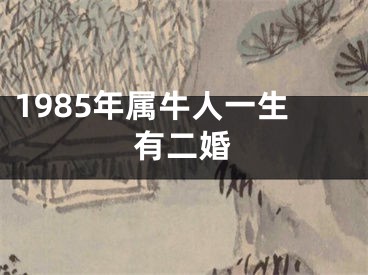 1985年属牛人一生有二婚