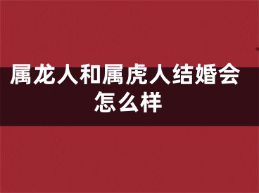 属龙人和属虎人结婚会怎么样