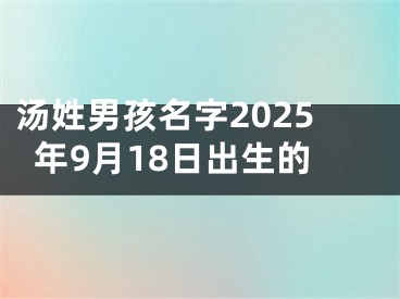 汤姓男孩名字2025年9月18日出生的