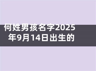 何姓男孩名字2025年9月14日出生的
