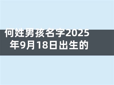 何姓男孩名字2025年9月18日出生的