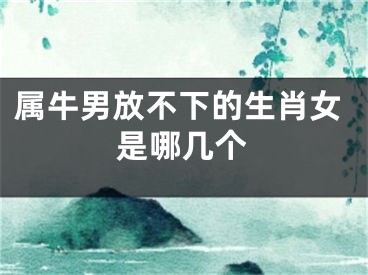 属牛男放不下的生肖女是哪几个