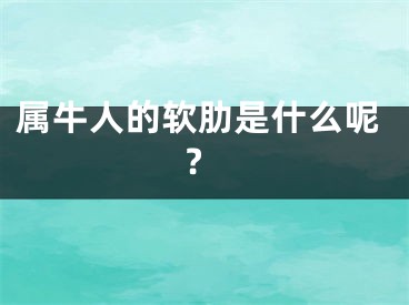 属牛人的软肋是什么呢?
