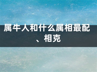 属牛人和什么属相最配、相克