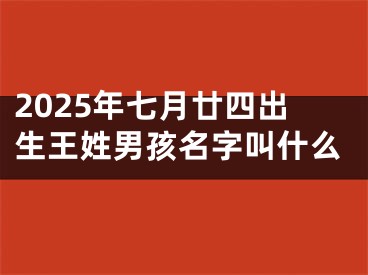 2025年七月廿四出生王姓男孩名字叫什么