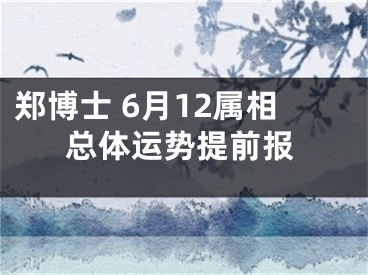 郑博士 6月12属相总体运势提前报