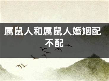 属鼠人和属鼠人婚姻配不配