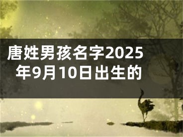唐姓男孩名字2025年9月10日出生的