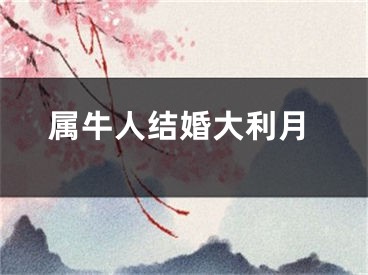 属牛人结婚大利月