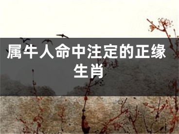 属牛人命中注定的正缘生肖