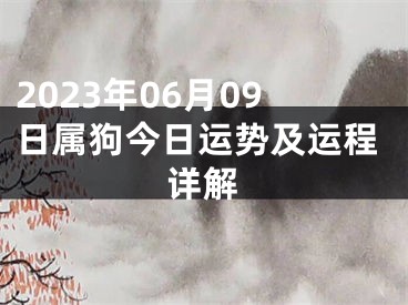 2023年06月09日属狗今日运势及运程详解
