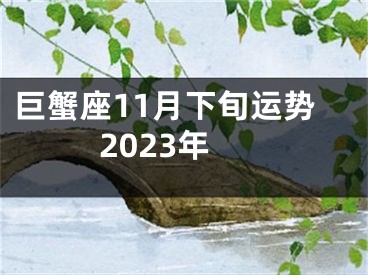 巨蟹座11月下旬运势2023年
