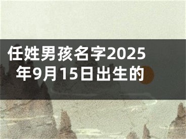 任姓男孩名字2025年9月15日出生的