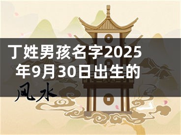 丁姓男孩名字2025年9月30日出生的