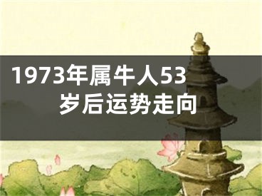 1973年属牛人53岁后运势走向