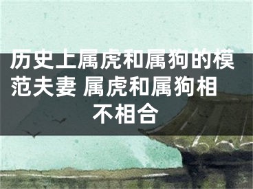 历史上属虎和属狗的模范夫妻 属虎和属狗相不相合