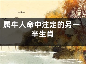 属牛人命中注定的另一半生肖