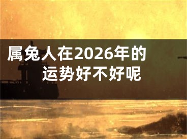 属兔人在2026年的运势好不好呢