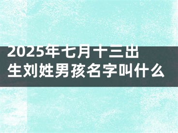 2025年七月十三出生刘姓男孩名字叫什么