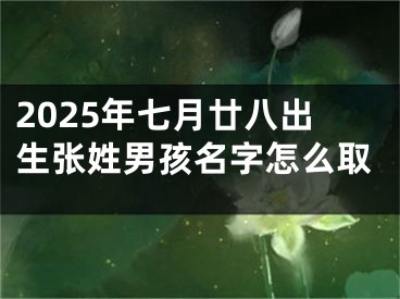 2025年七月廿八出生张姓男孩名字怎么取