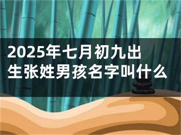2025年七月初九出生张姓男孩名字叫什么