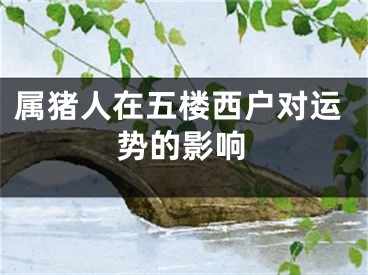 属猪人在五楼西户对运势的影响