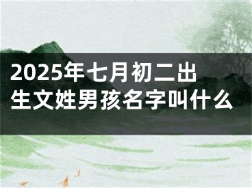 2025年七月初二出生文姓男孩名字叫什么
